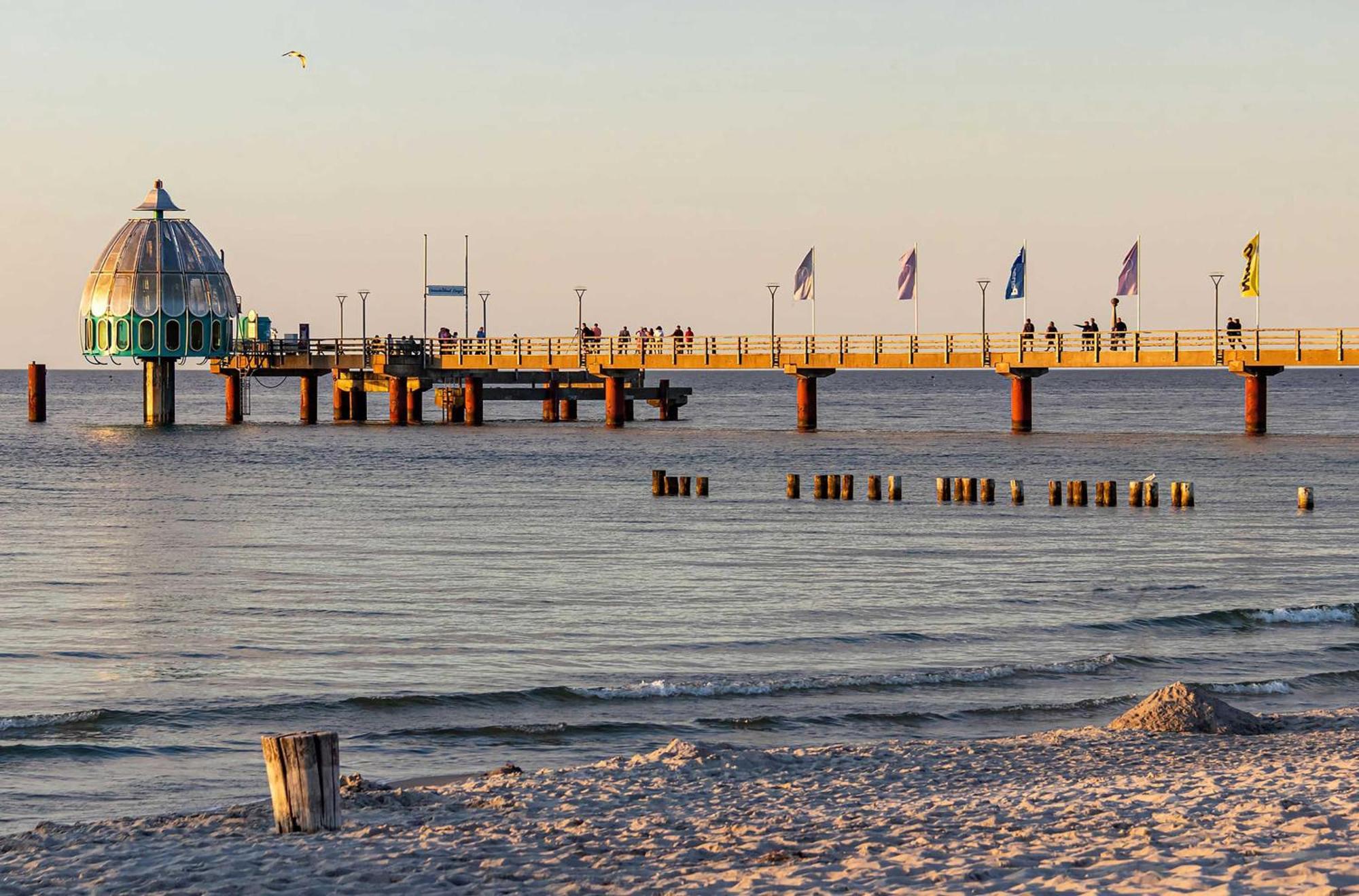 Krosse Krabbe An Der Seebruecke Zingst Buitenkant foto